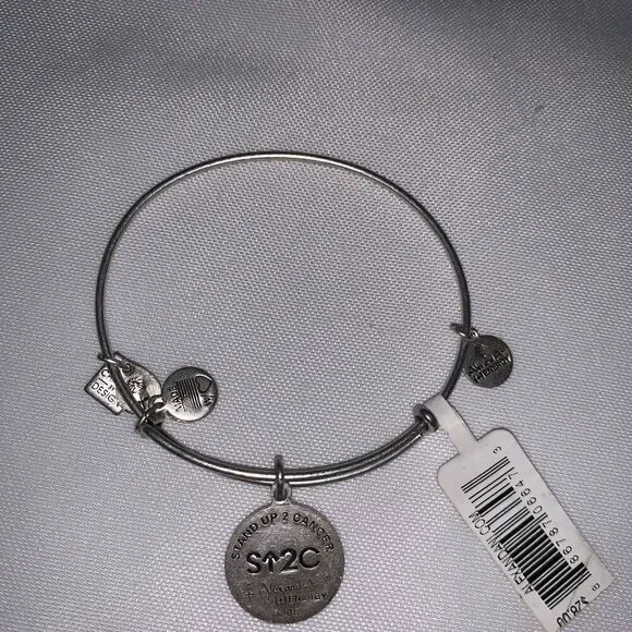 Stand Up Charm Bangle in Rafaelian Silver : Stand Up To Cancer - Picture 5 of 6